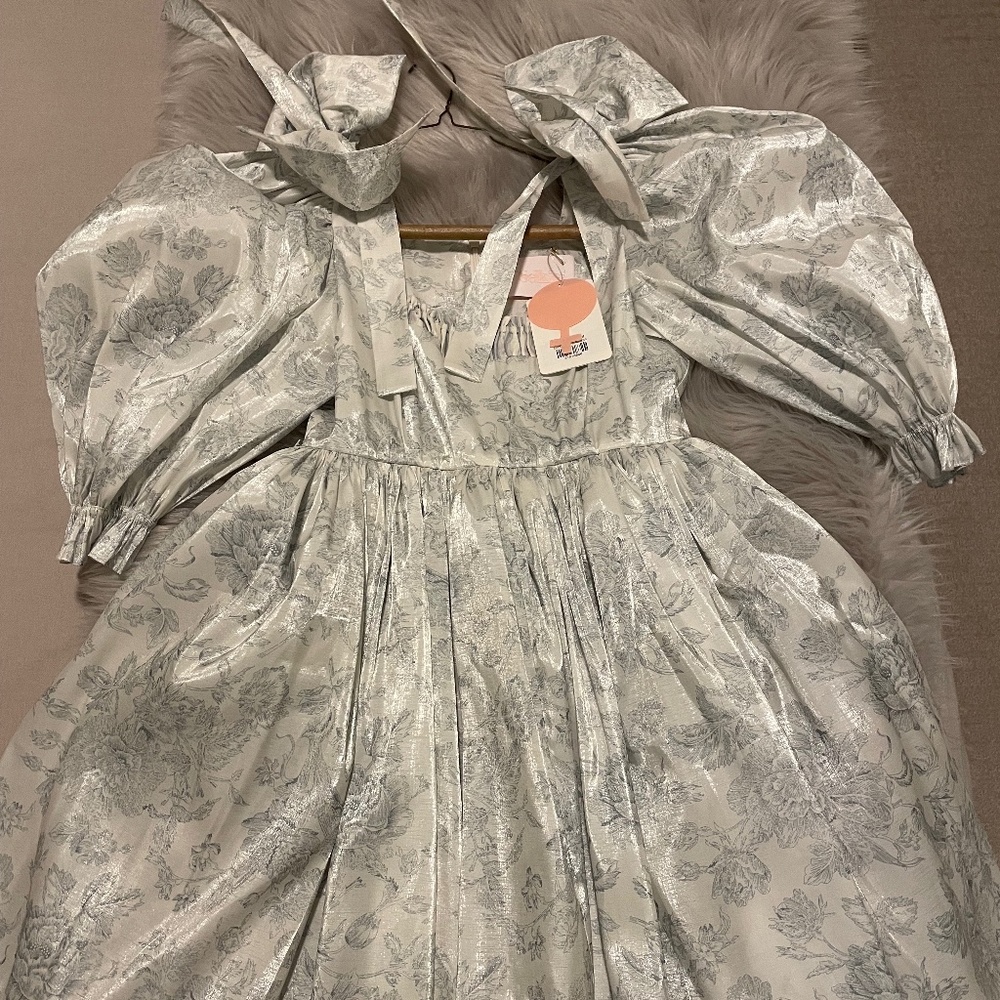 *BRAND NEW NEVER WORN WITH TAGS* SELKIE DAVINCI PUFF DRESS